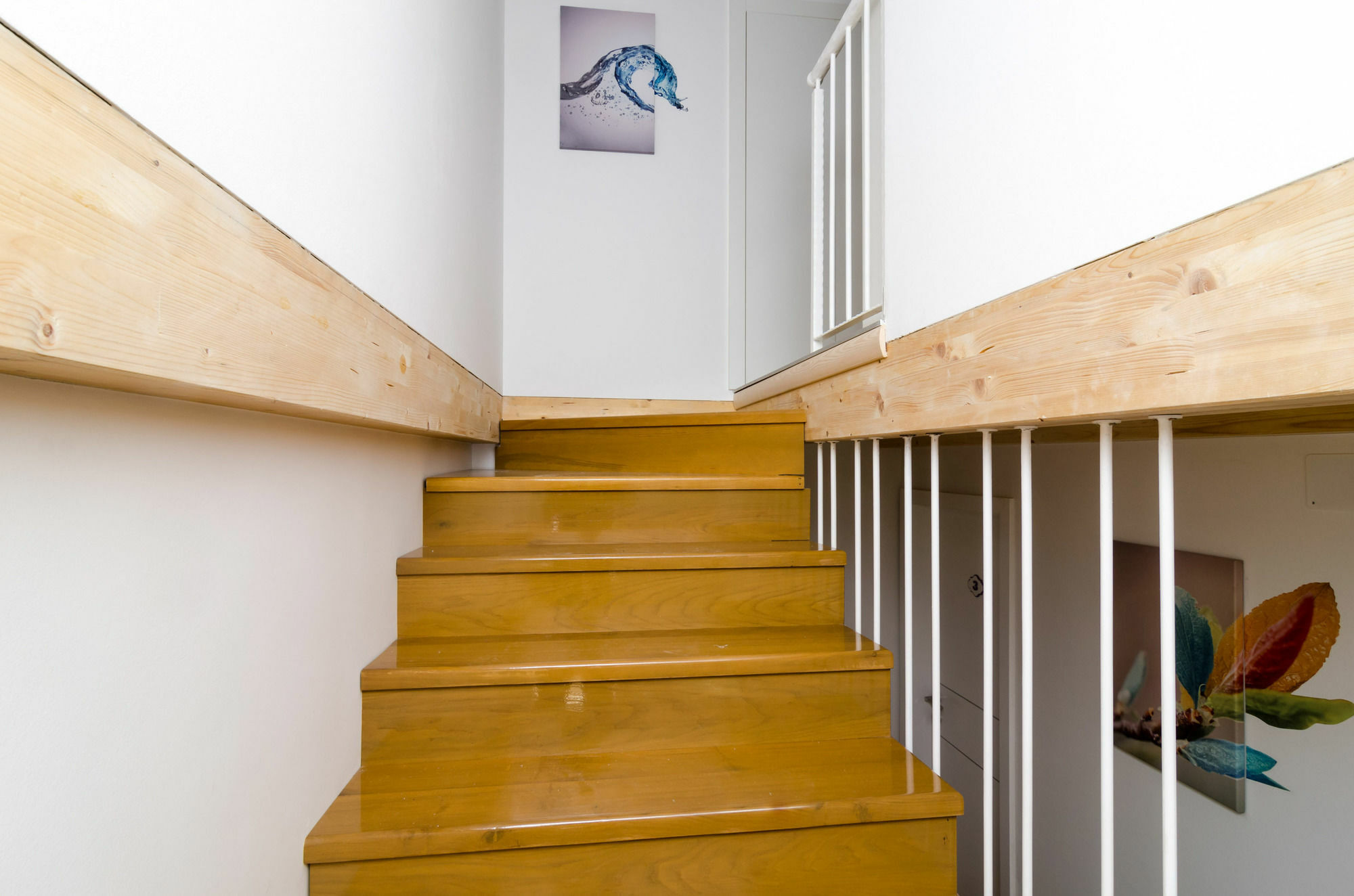 Lavender Garden Apartments دوبروفينك المظهر الخارجي الصورة
